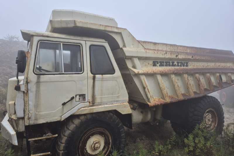 OmecoHub - Immagine PERLINI DP255M1